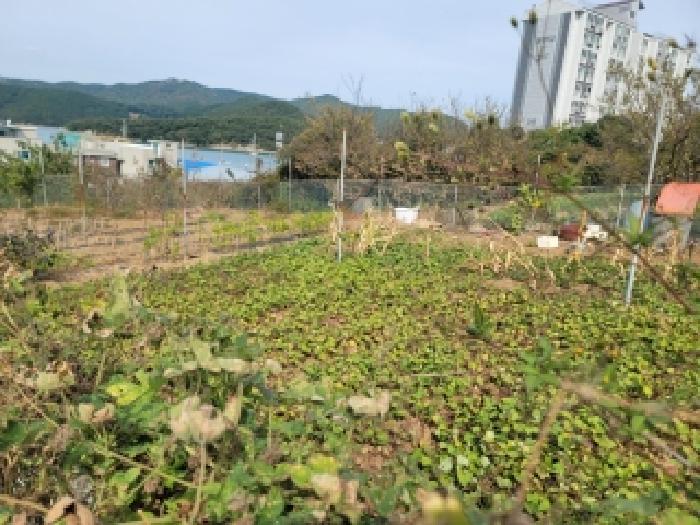 경상남도 통영시 미수동 700 전 경매 사진 10