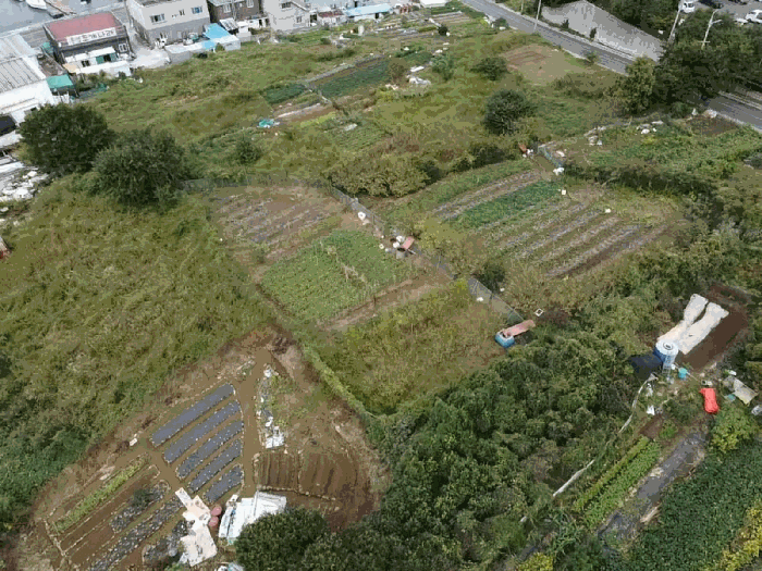 경상남도 통영시 미수동 700 전 경매 사진 11