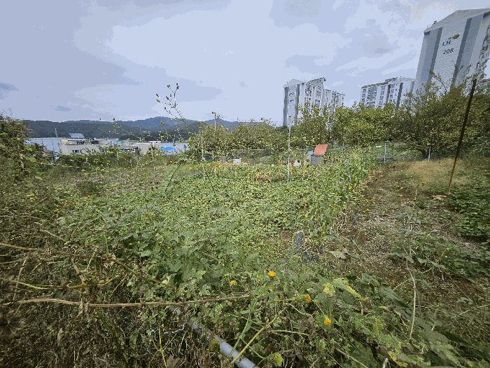 경상남도 통영시 미수동 700 전 경매 사진 13