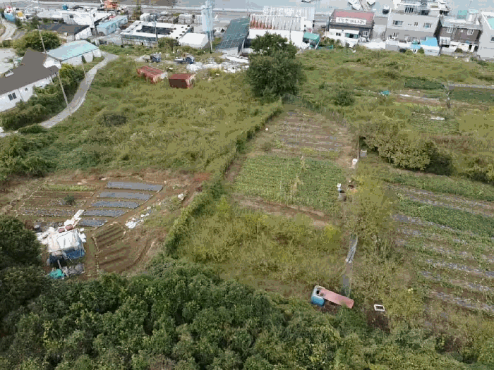 경상남도 통영시 미수동 700 전 경매 사진 14