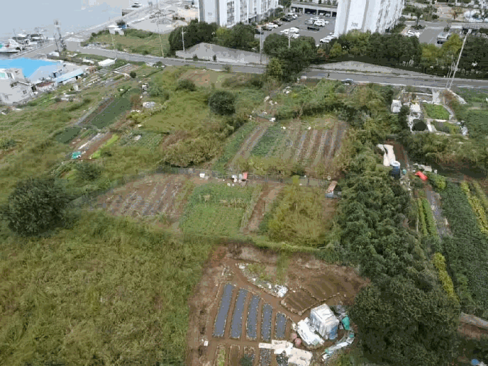 경상남도 통영시 미수동 700 전 경매 사진 15