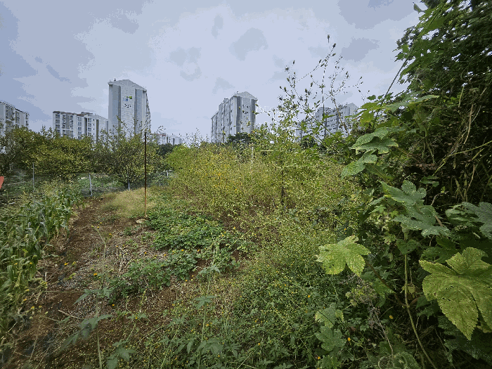경상남도 통영시 미수동 700 전 경매 사진 16