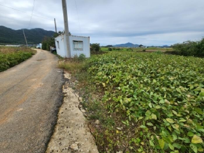 전북특별자치도 부안군 상서면 고잔리 207-3 대지 경매 사진 11