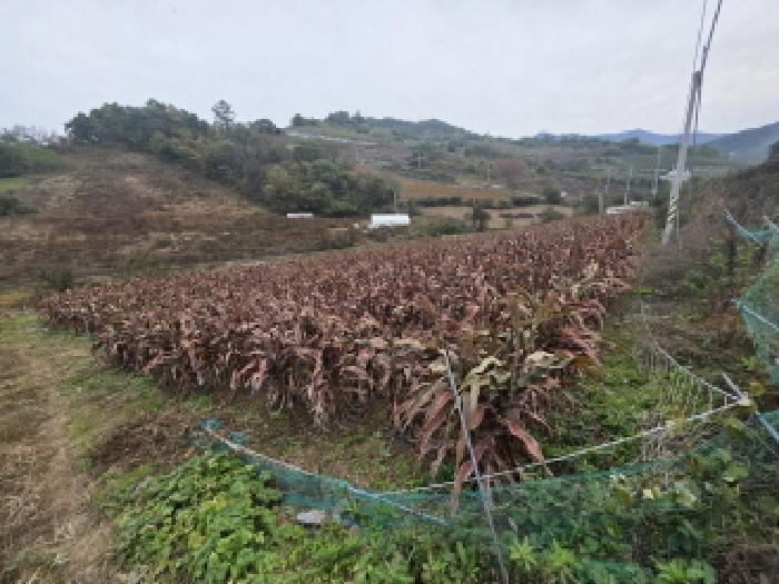 충청북도 제천시 수산면 수곡리 1143-2 전 경매 사진 27