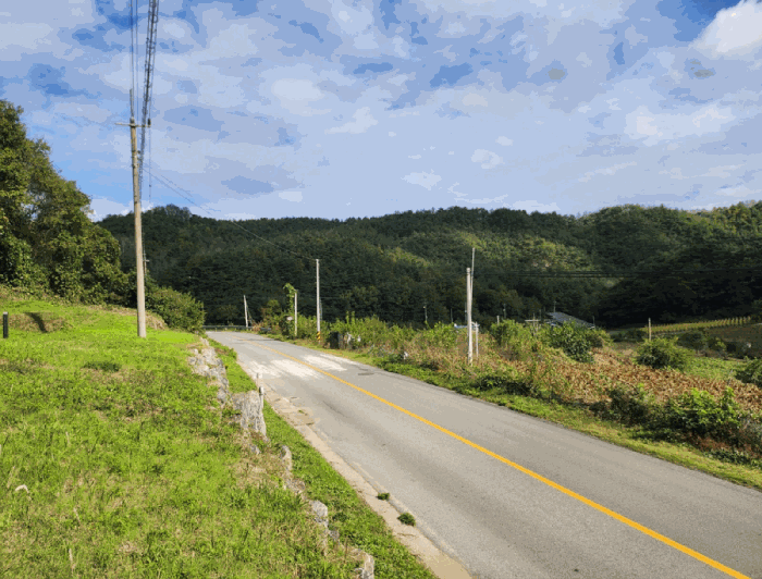 충청북도 제천시 수산면 수곡리 1143-2 전 경매 사진 30