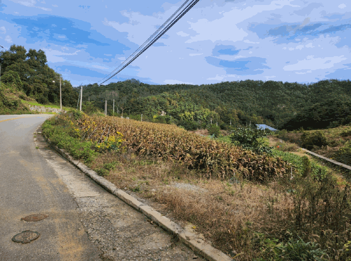 충청북도 제천시 수산면 수곡리 1143-2 전 경매 사진 31
