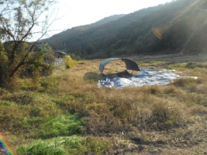 경상북도 고령군 우곡면 사촌리 42 전 경매 사진 21