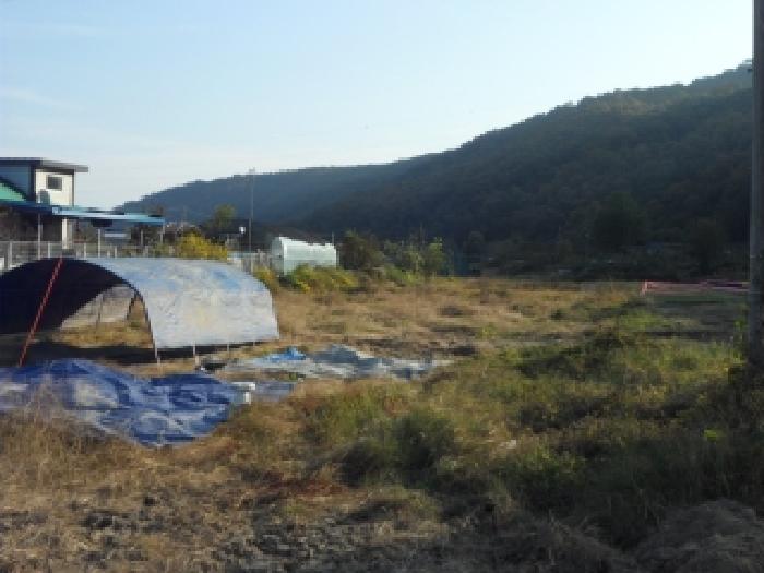 경상북도 고령군 우곡면 사촌리 42 전 경매 사진 22