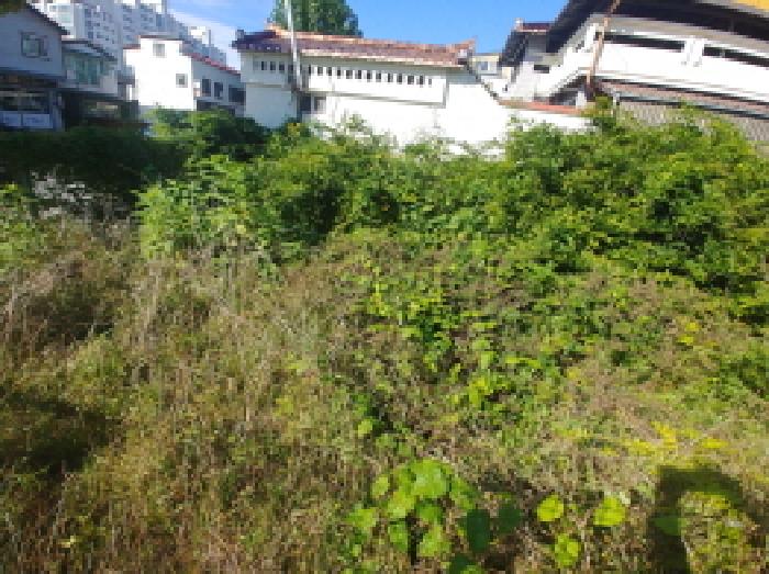 충청남도 금산군 금산읍 상리 14-16 대지 경매 사진 17