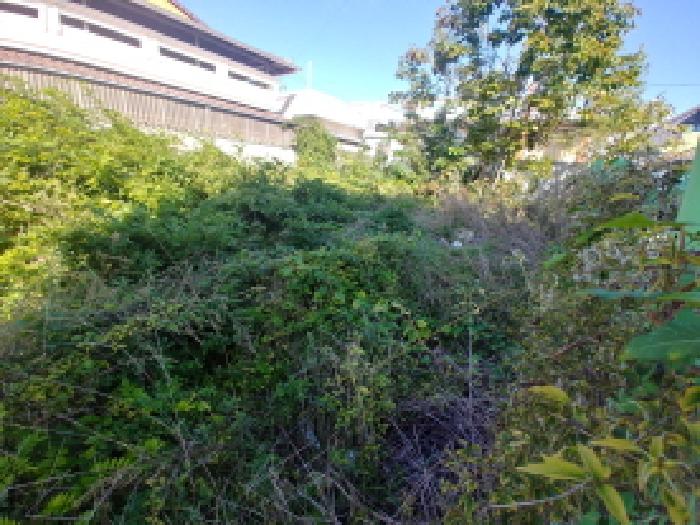 충청남도 금산군 금산읍 상리 14-16 대지 경매 사진 18
