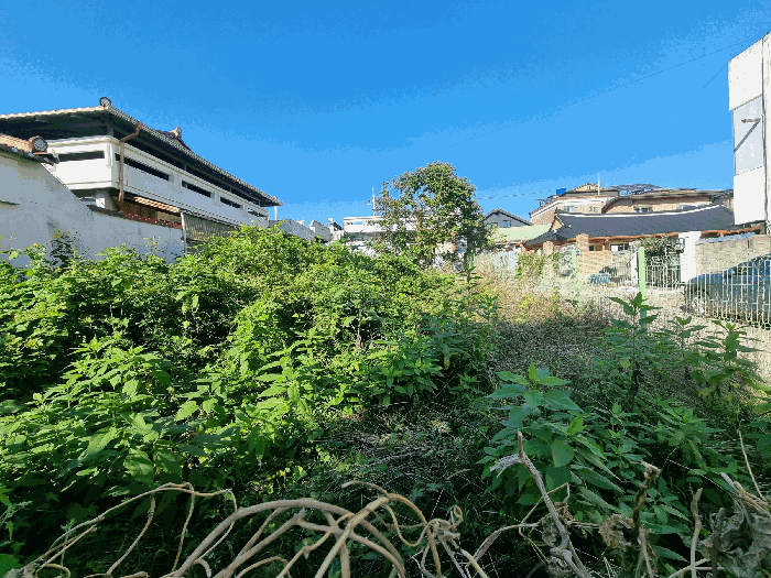충청남도 금산군 금산읍 상리 14-16 대지 경매 사진 22