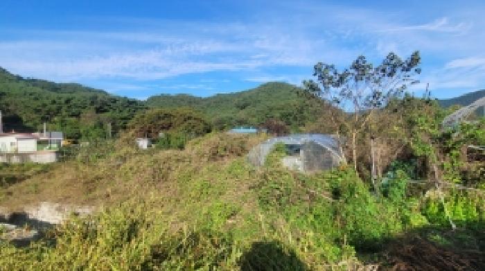경상남도 함안군 산인면 신산리 391 전 경매 사진 8