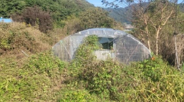 경상남도 함안군 산인면 신산리 391 전 경매 사진 9