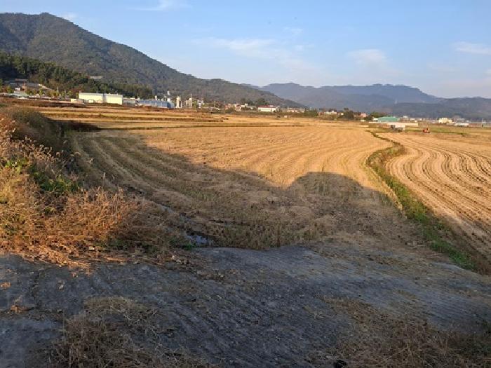 경상남도 사천시 봉남동 167 답 경매 사진 10