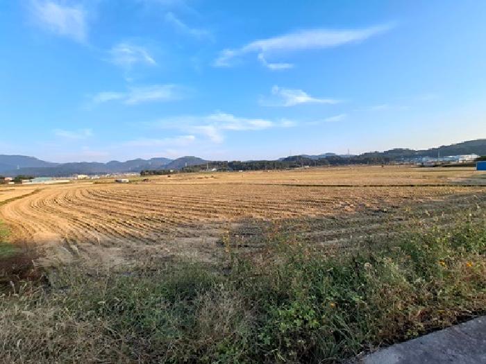 경상남도 사천시 봉남동 167 답 경매 사진 11