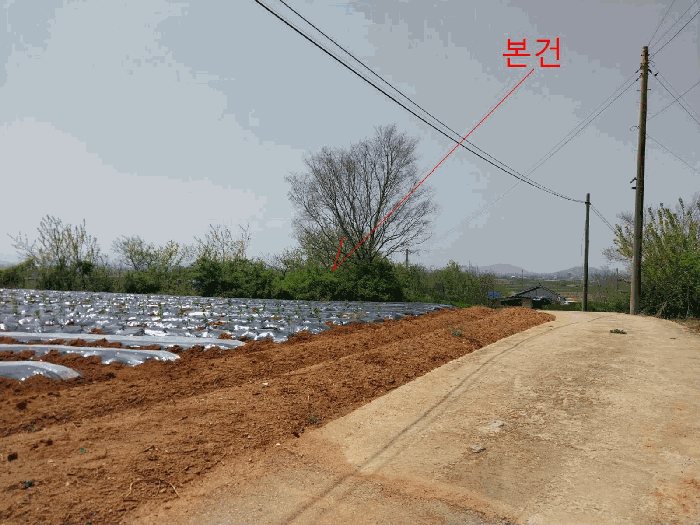전북특별자치도 부안군 백산면 덕신리 51-3 전 경매 사진 25