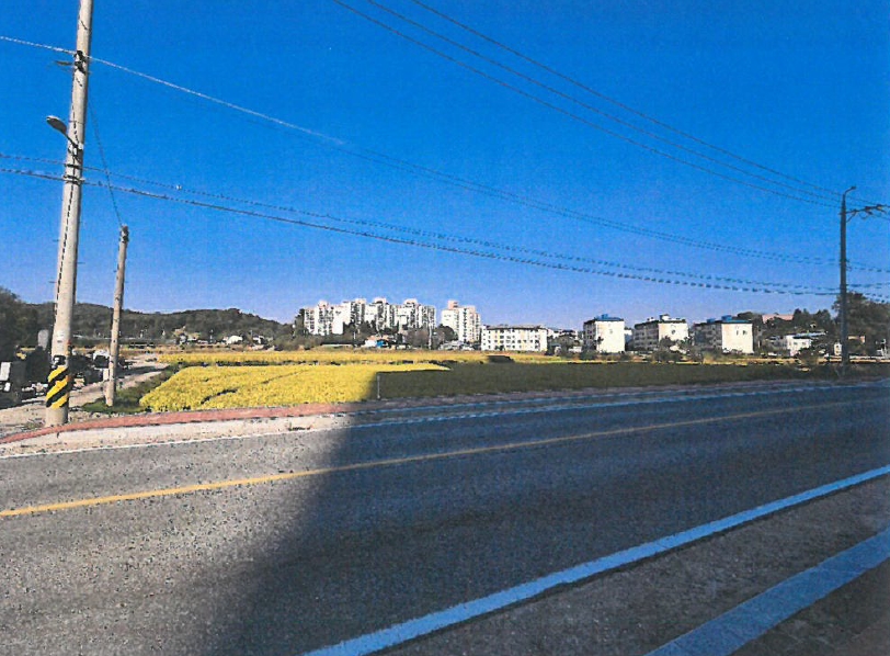 충청북도 보은군 보은읍 교사리 365 답 경매 사진 5