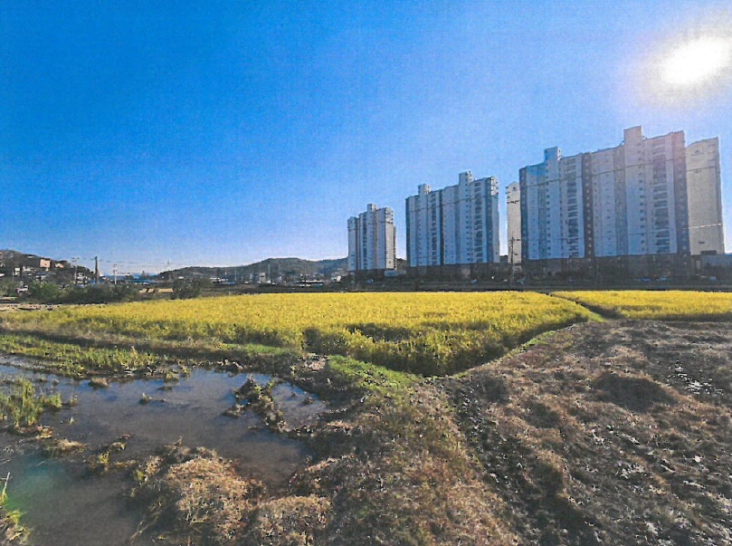 충청북도 보은군 보은읍 교사리 365 답 경매 사진 7