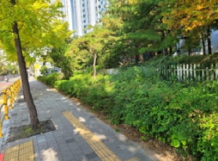 대구광역시 달서구 감삼동 510-4 공장용지 경매 사진 12