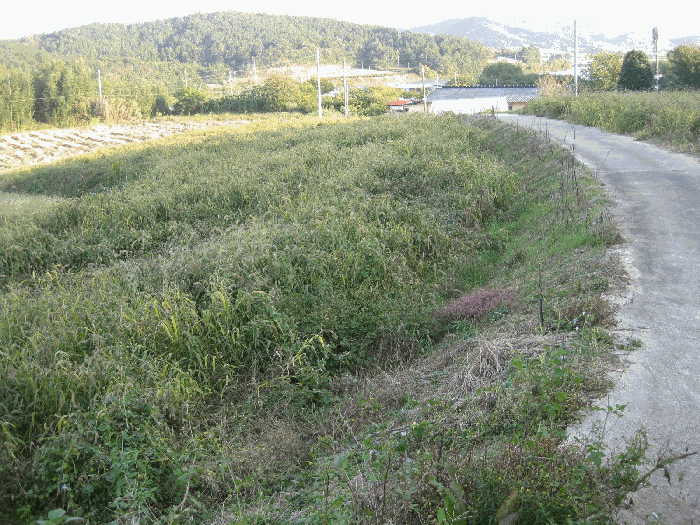전라남도 영광군 염산면 상계리 1172-2 전 경매 사진 16