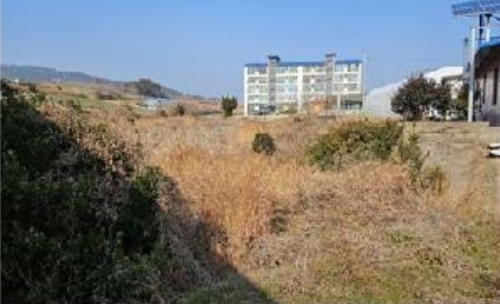 전라남도 무안군 해제면 양매리 859 답 경매 사진 30