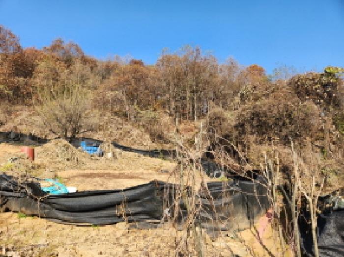 경기도 동두천시 안흥동 산69 임야 경매 사진 29