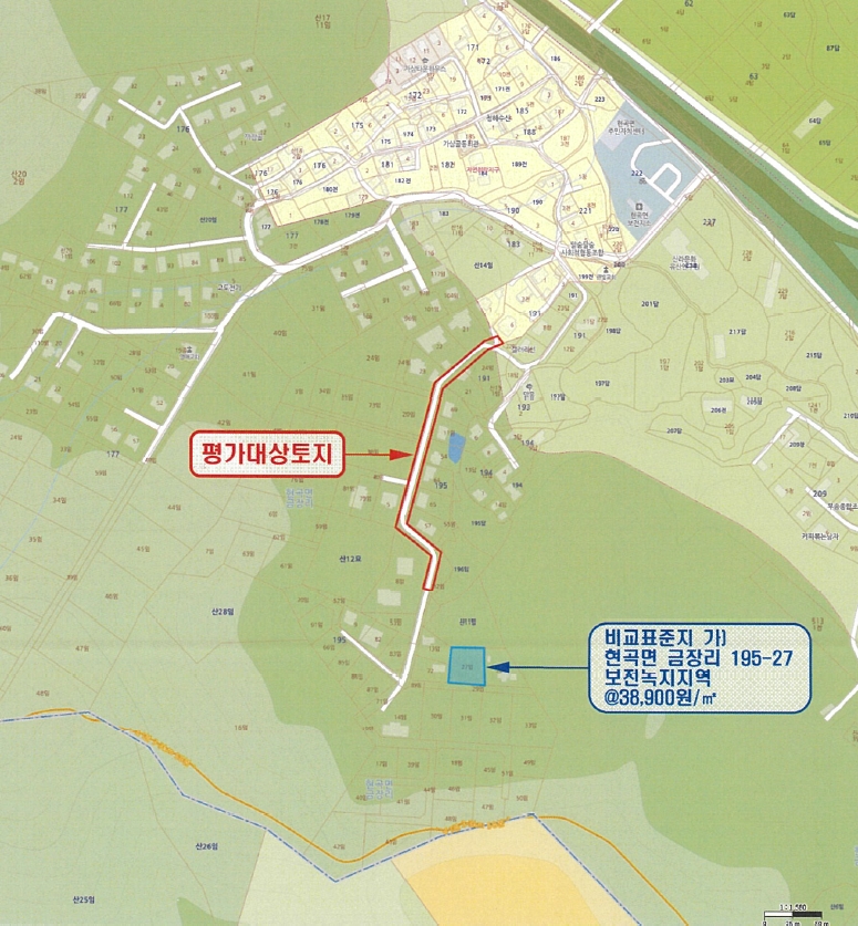 경상북도 경주시 현곡면 금장리 195-60 도로 경매 사진 11