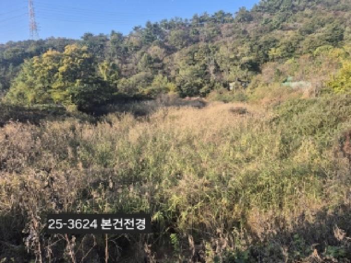 부산광역시 강서구 녹산동 967 전 경매 사진 19