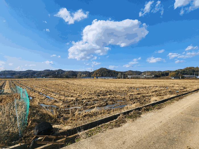 경기도 연천군 전곡읍 은대리 2106 외 1필지 답 경매 사진 7