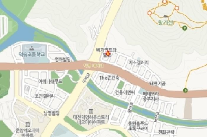 대전광역시 유성구 구암동 663-3 근린주택 경매 사진 81