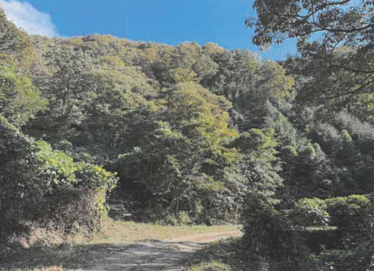 경상남도 의령군 대의면 중촌리 산49 임야 경매 사진 7