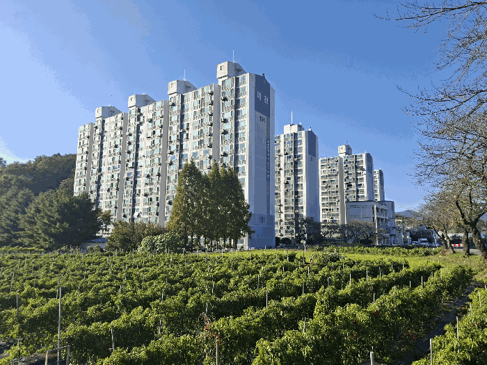 경상남도 하동군 진교면 고룡리 3 미진스위트빌 102동 3층302호 아파트 경매 사진 12