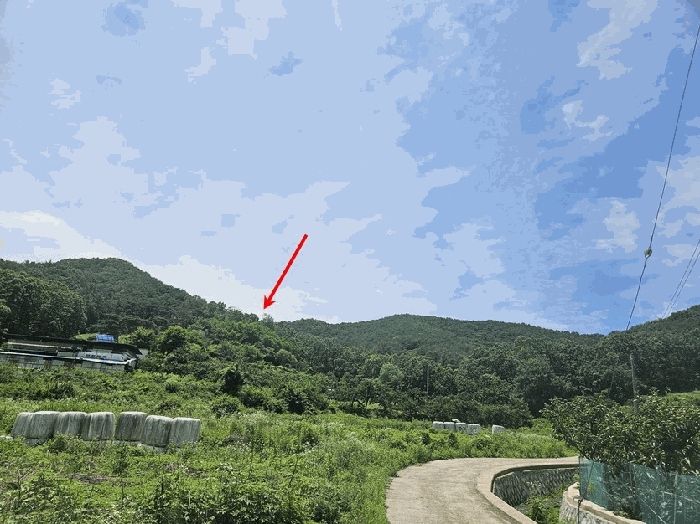 경상북도 청도군 이서면 칠엽리 산135-1 임야 경매 사진 12