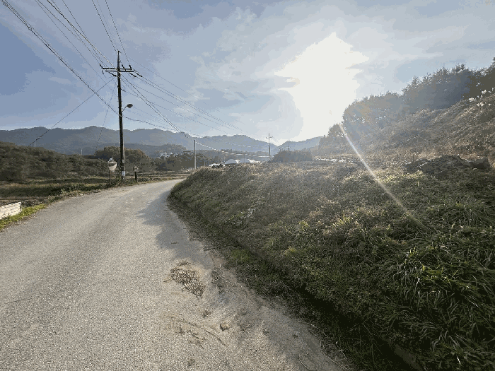 충청북도 괴산군 감물면 오성리 256 전 경매 사진 12