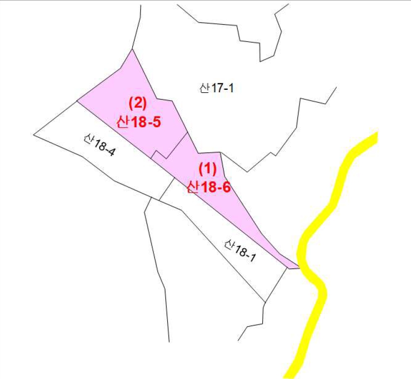 세종특별자치시 연서면 쌍전리 산18-6 외 1필지 임야 경매 사진 7