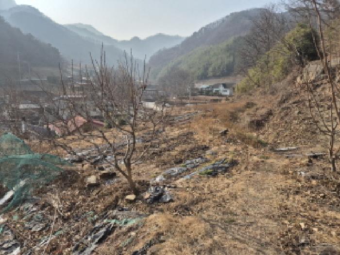 경상북도 영덕군 남정면 사암리 319-3 대지 경매 사진 13