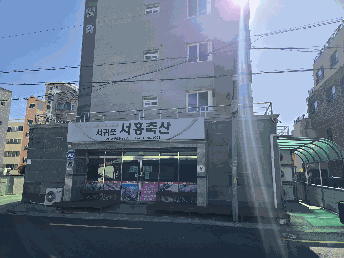 제주특별자치도 서귀포시 서홍동 296-7 알뜰빌라 1층 101호 근린상가 경매 사진 18