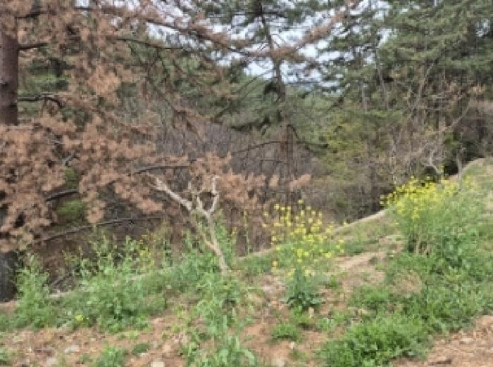 경상남도 고성군 삼산면 두포리 239-2 답 경매 사진 21