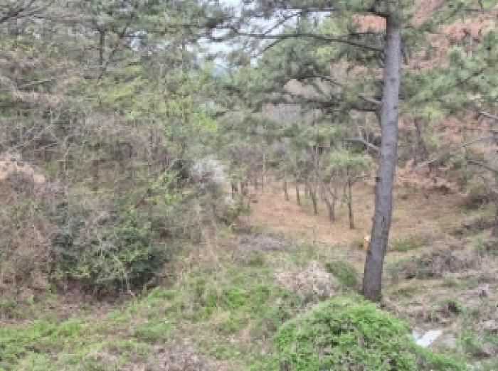 경상남도 고성군 삼산면 두포리 239-2 답 경매 사진 22