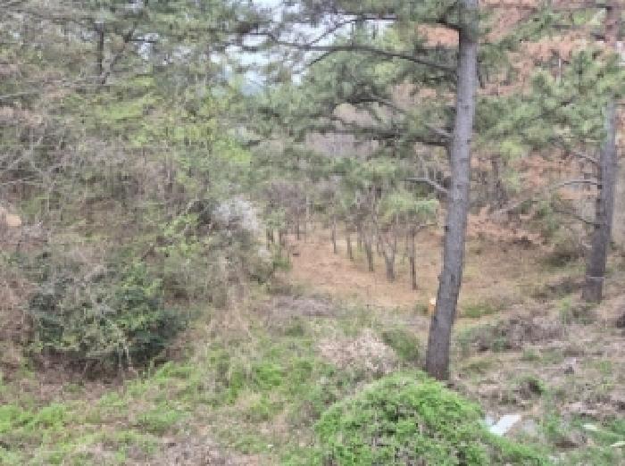 경상남도 고성군 삼산면 두포리 239-2 답 경매 사진 23