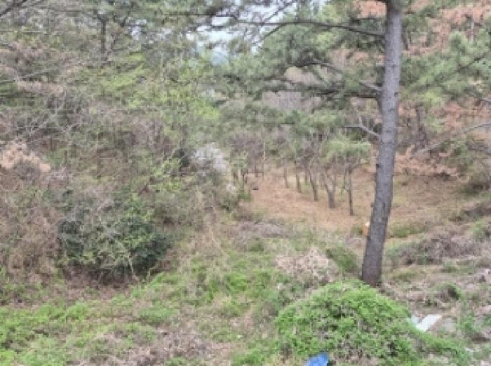 경상남도 고성군 삼산면 두포리 239-2 답 경매 사진 24