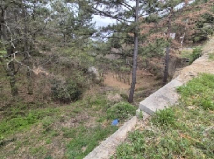 경상남도 고성군 삼산면 두포리 239-2 답 경매 사진 25