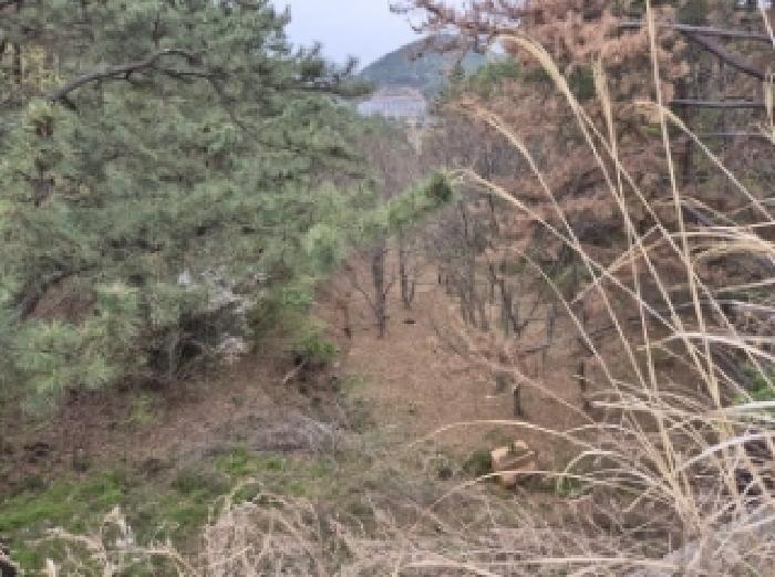 경상남도 고성군 삼산면 두포리 239-2 답 경매 사진 26