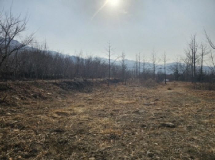 전라남도 구례군 산동면 좌사리 408-2 답 경매 사진 74