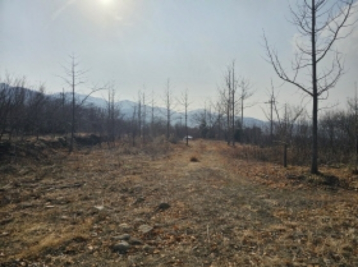 전라남도 구례군 산동면 좌사리 408-2 답 경매 사진 76