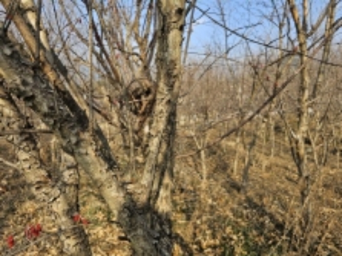 전라남도 구례군 산동면 좌사리 408-2 답 경매 사진 79