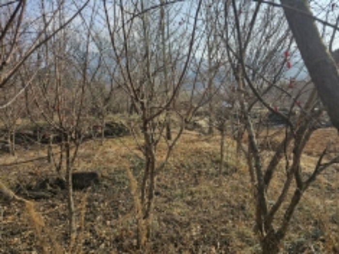 전라남도 구례군 산동면 좌사리 408-2 답 경매 사진 80