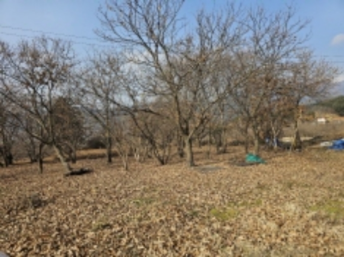 전라남도 구례군 산동면 좌사리 394 전 경매 사진 74