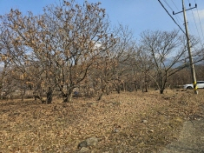 전라남도 구례군 산동면 좌사리 394 전 경매 사진 75