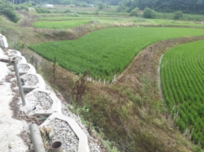 충청남도 당진시 송악읍 석포리 110 전 경매 사진 21